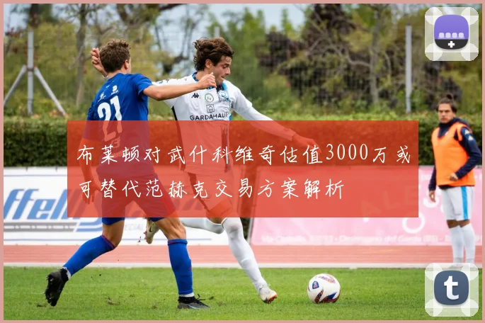 布莱顿对武什科维奇估值3000万或可替代范赫克交易方案解析