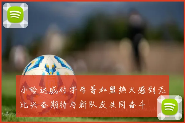 小哈达威对字母哥加盟热火感到无比兴奋期待与新队友共同奋斗